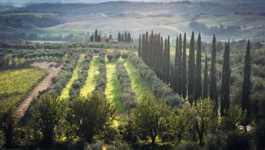 Five Luxury Destinations for Wine Lovers