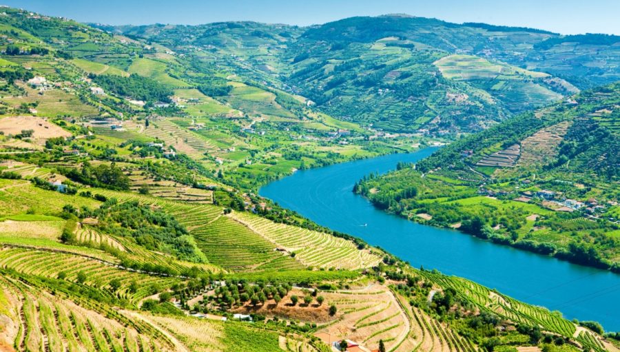 Explore Portugal’s Douro Valley