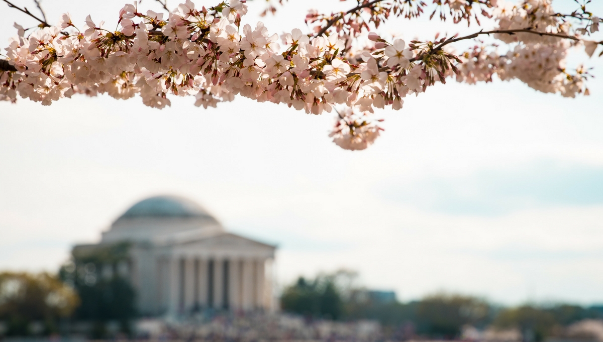 The Best Places to Visit for Spring Blooms Travel.Luxury