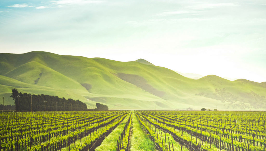 Savor it All Where to Stay When You Visit California's Wine Country