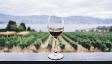 3 Celebrity Wines That are Definitely Worth the Trip