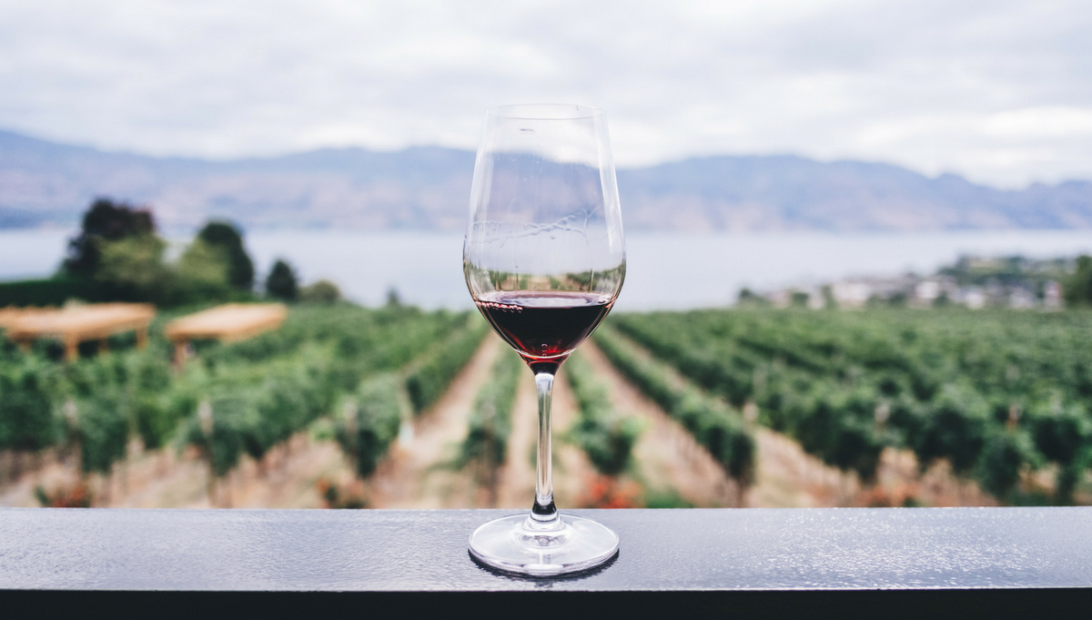 3 Celebrity Wines That are Definitely Worth the Trip Top Travel Posts 2018