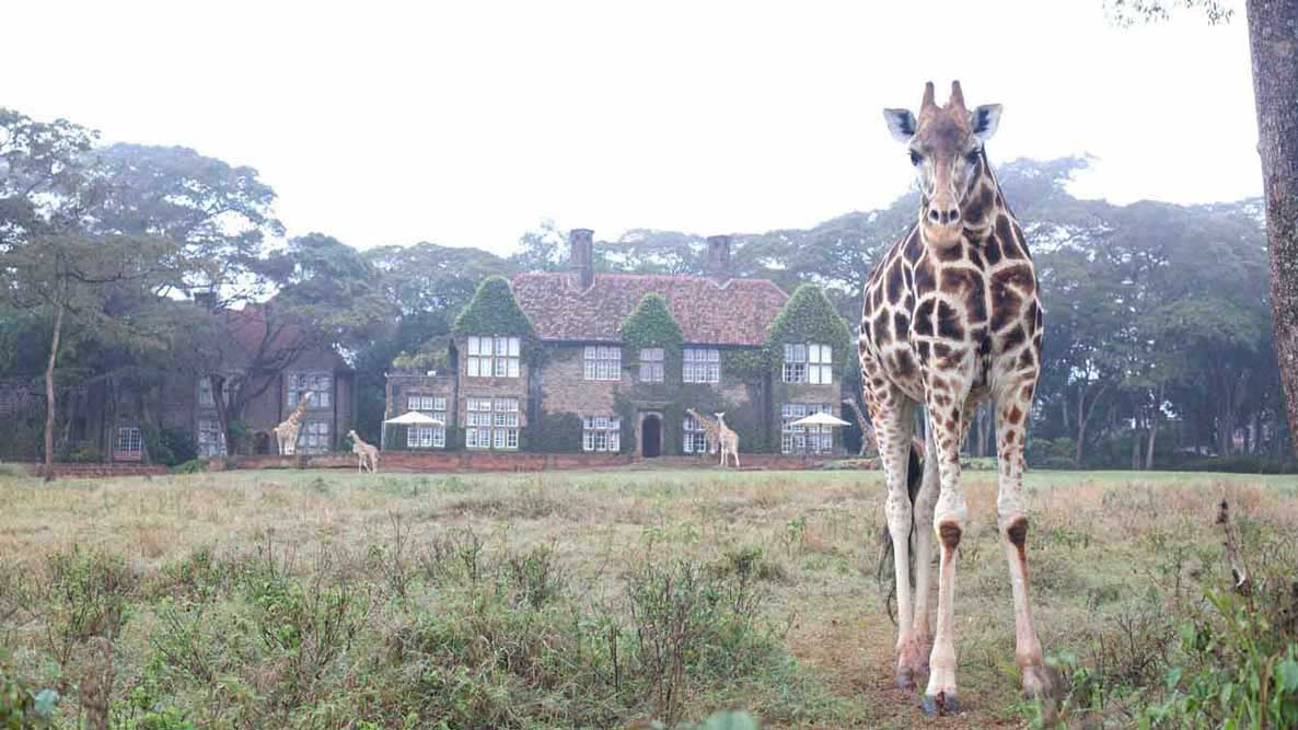 Over the Top Hotels You Have to See to Believe Giraffe Manor, Kenya