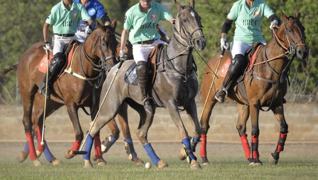Travel to See These Top Polo Players in Action
