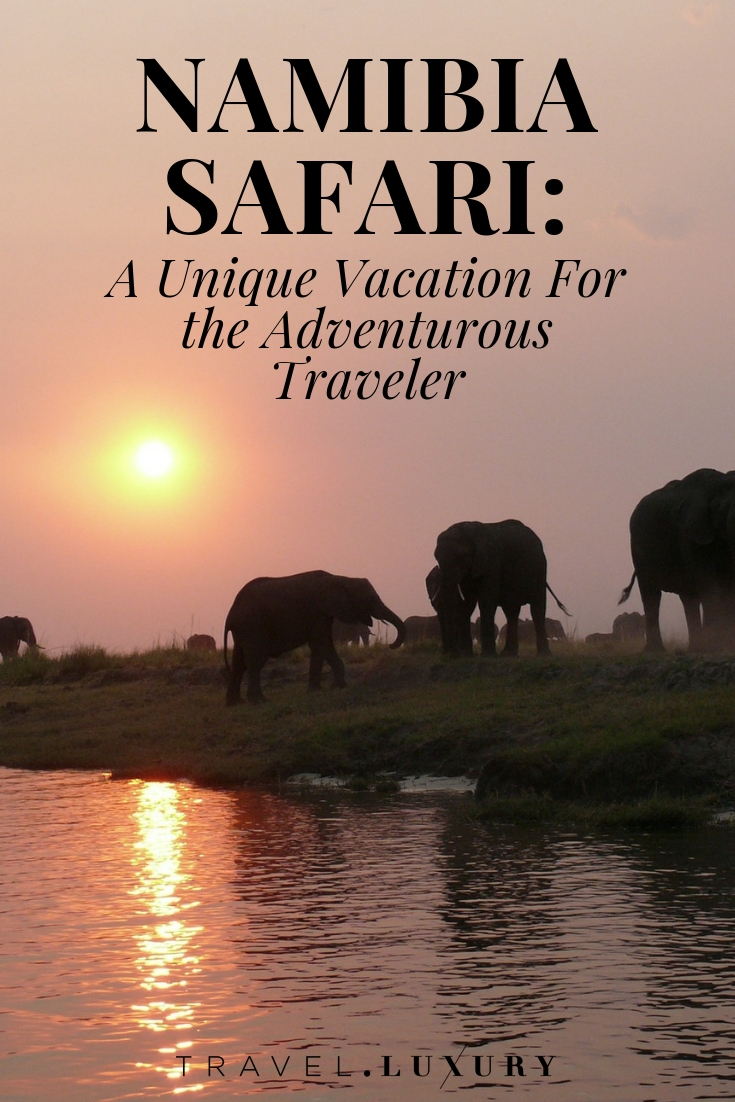 Namibia Safari: A Unique Vacation For the Adventurous Traveler