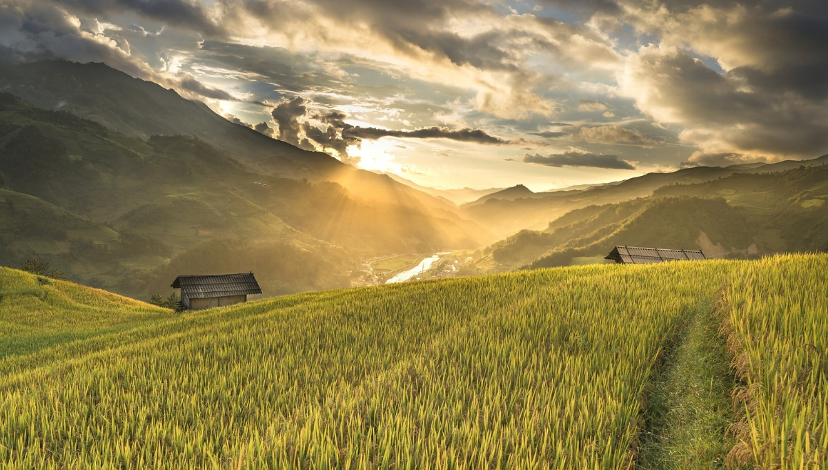 A Travel Guide to the Banaue Rice Terraces | Travel.Luxury