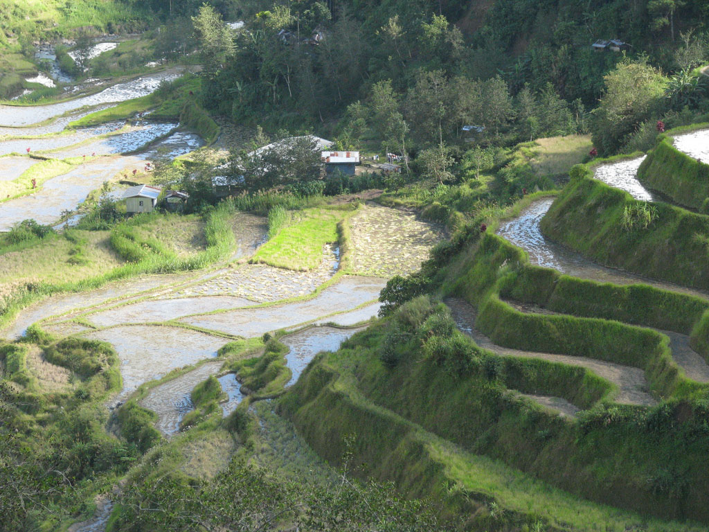 What to Do A Travel Guide to The Banaue Rice Terraces