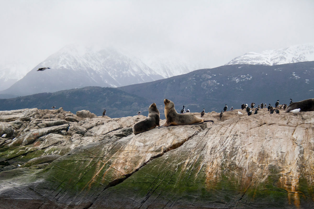 Sail the Beagle Channel in Ushuaia Argentina